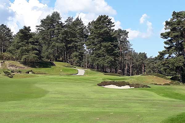Guide to the Best Heathland Golf Courses