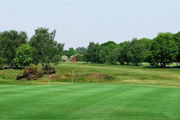 Mitcham Golf Club and Your Golf Travel – A Match Made in Heaven for London Golfers