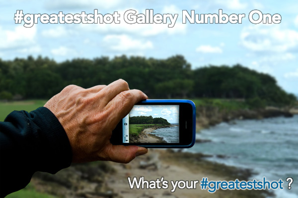 #greatestshot gallery 1