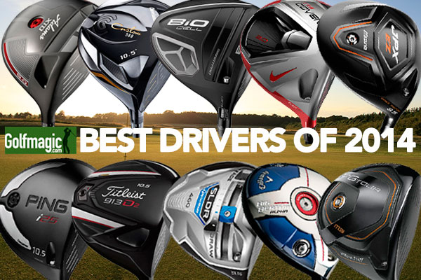 Ten of the best: Drivers for 2014