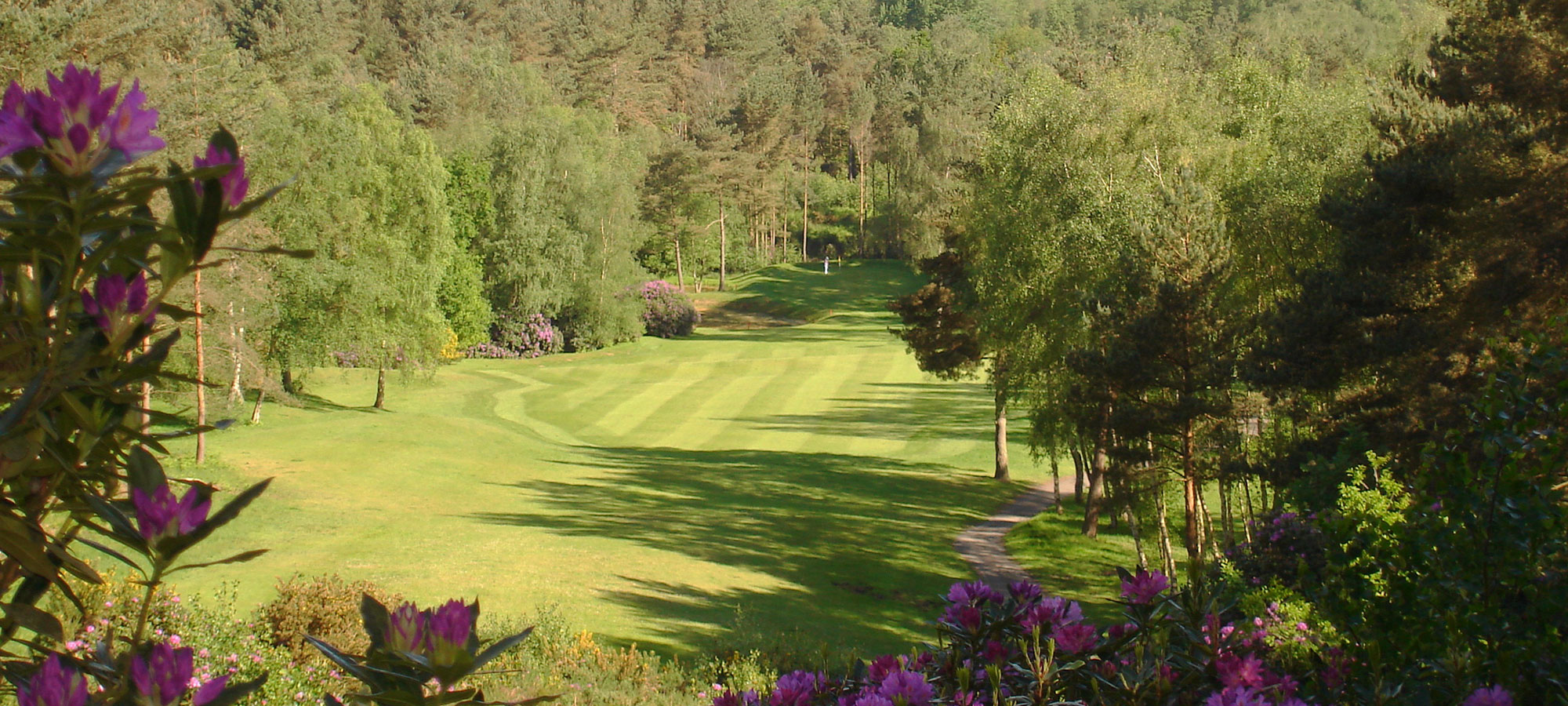 Planning a UK Golf Holiday? Everything you need to know about The Old Thorns Hotel & Resort