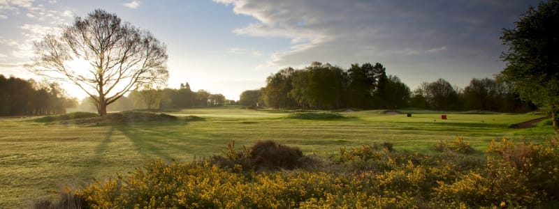 2023 Open Championship Regional Qualifying Venues