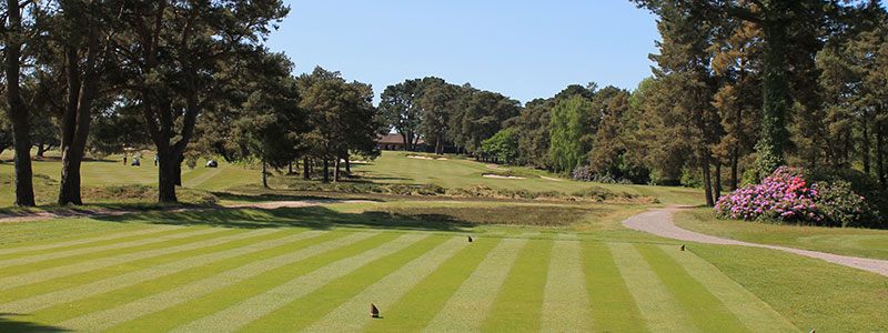 Ferndown Golf Club