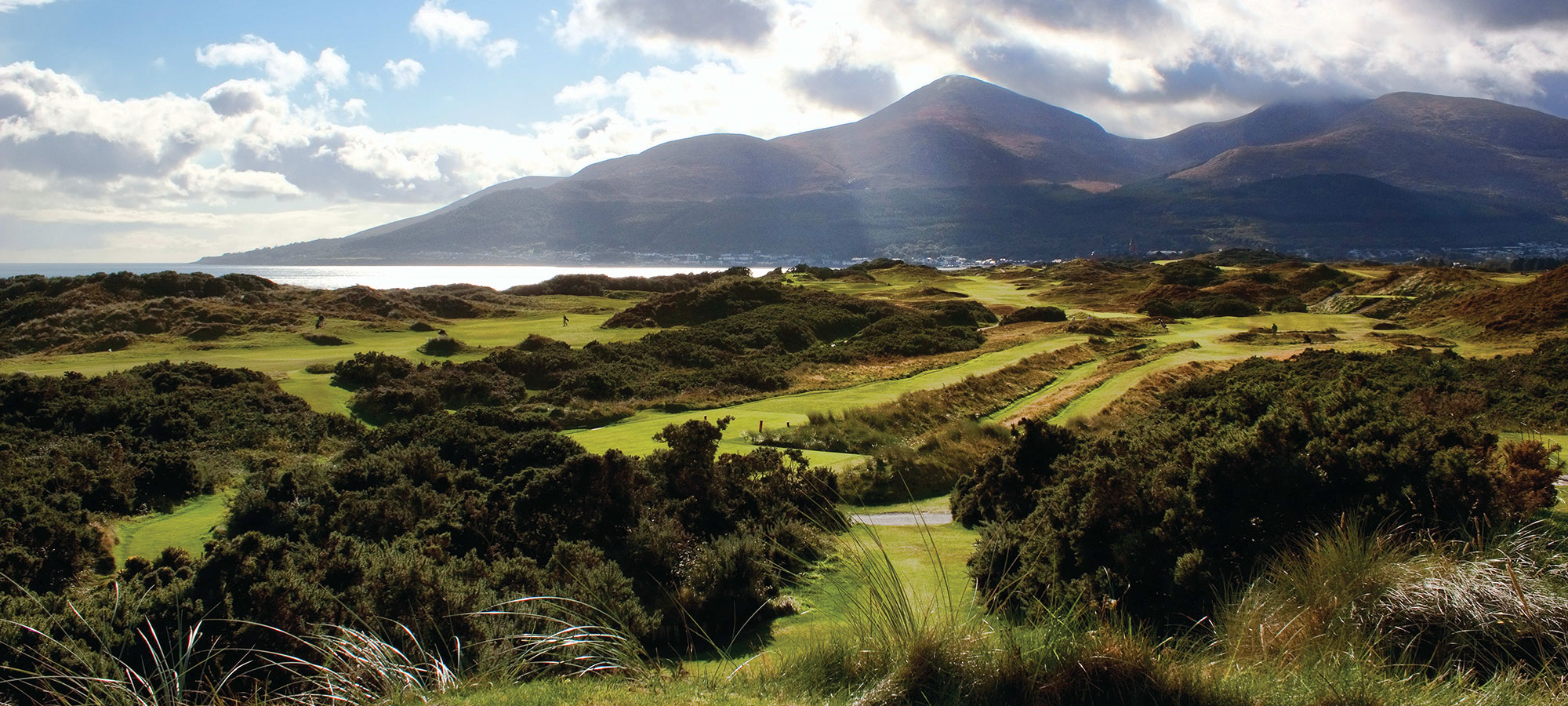 Royal County Down – 15th Open Host Venue?