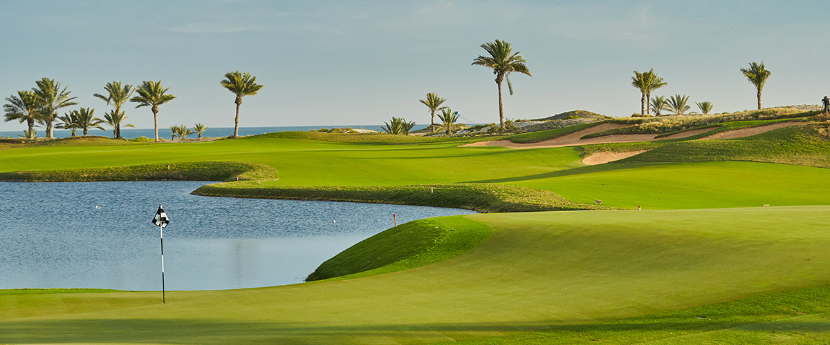 Saadiyat Beach